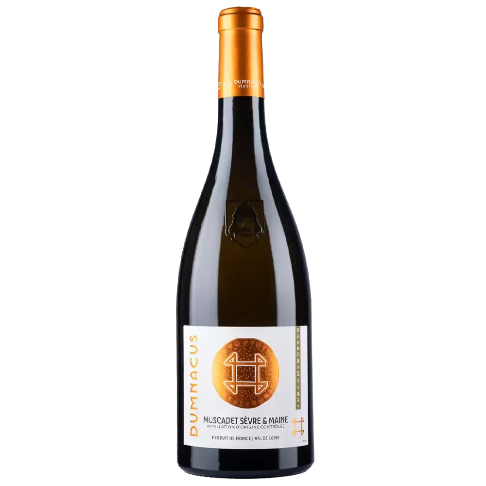 MUSCADET SÈVRE ET MAINE AOC - COLLECTION ORIGINES