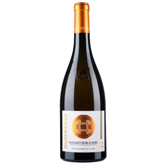 Muscadet Sèvre et Maine – Collection Origines